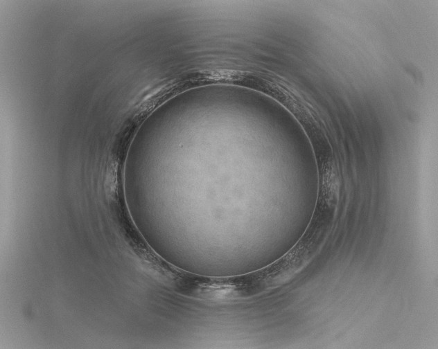 X0000116300554200911301444