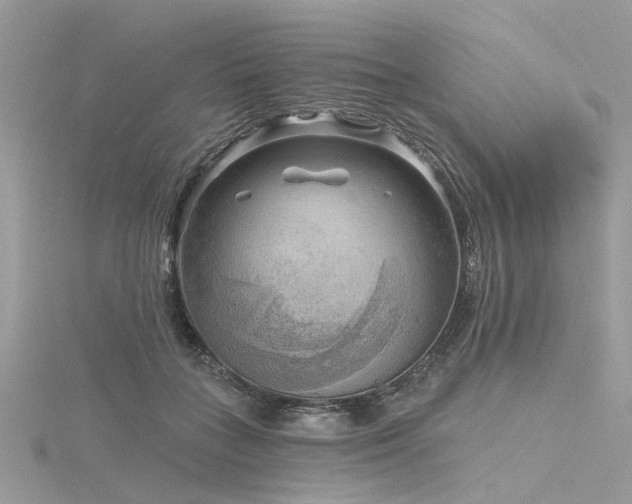 X0000116300555200911301444