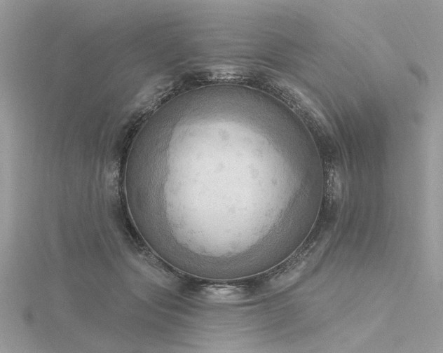 X0000116300557200911301444