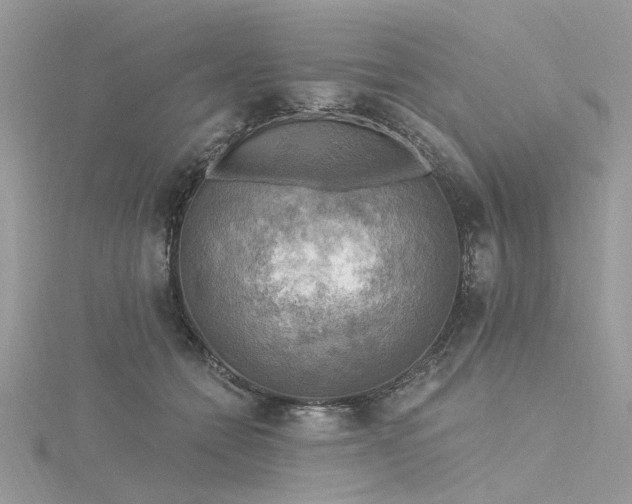 X0000116300558200911301444