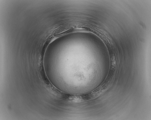 X0000116300559200911301444