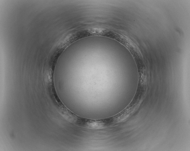 X0000116300561200911301444