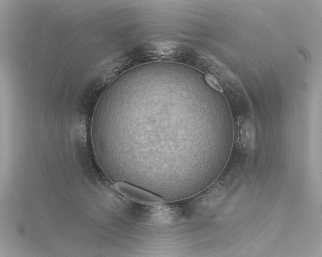 X0000116300562200911301444