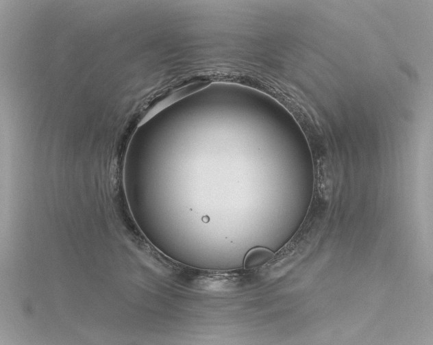 X0000116300563200911301444