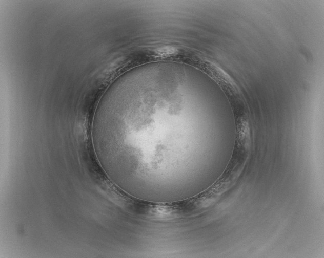 X0000116300565200911301444