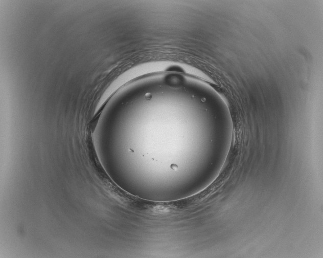 X0000116300566200911301444