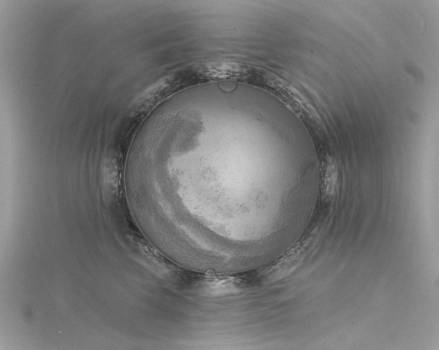 X0000116300569200911301444