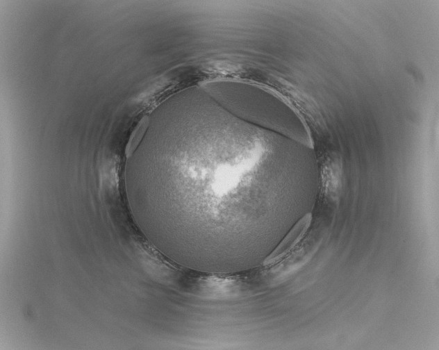 X0000116300570200911301444