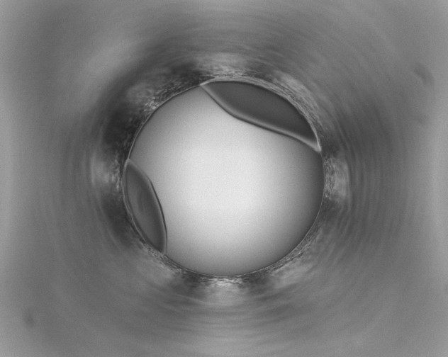 X0000116300573200911301444