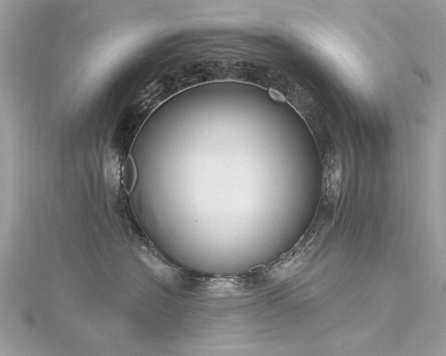 X0000116300574200911301444