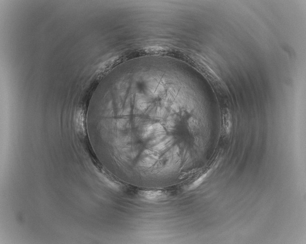 X0000116300575200911301444