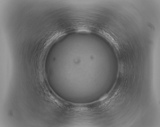 X0000116300577200911301443