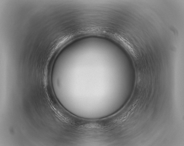 X0000116300578200911301443