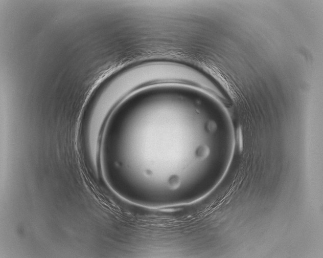 X0000116300579200911301443