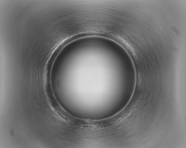 X0000116300580200911301443