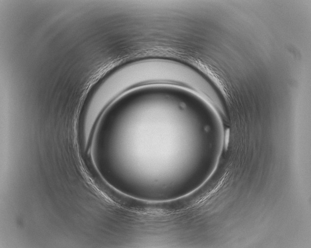 X0000116300581200911301443