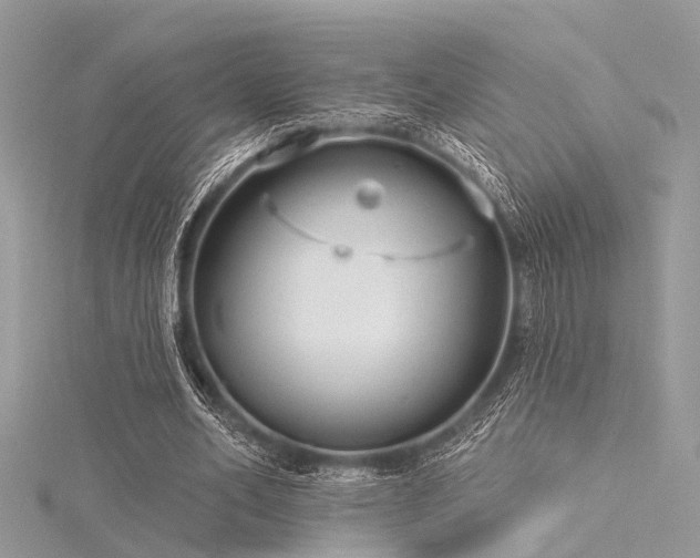 X0000116300582200911301443