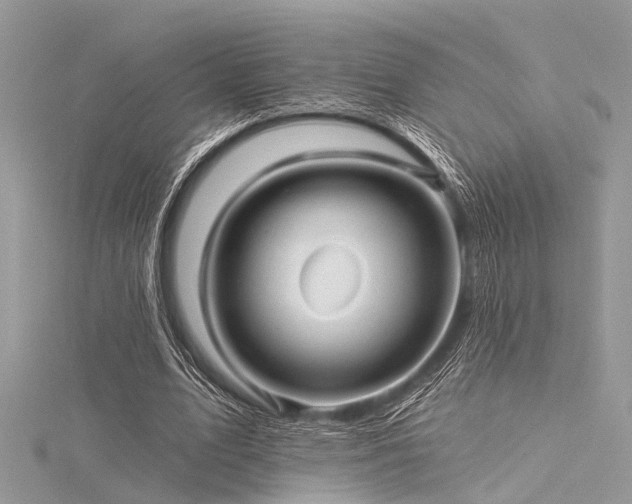 X0000116300583200911301443