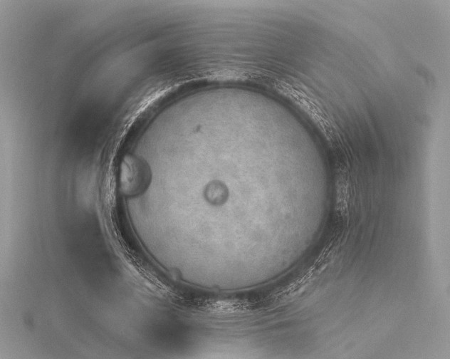 X0000116300584200911301443