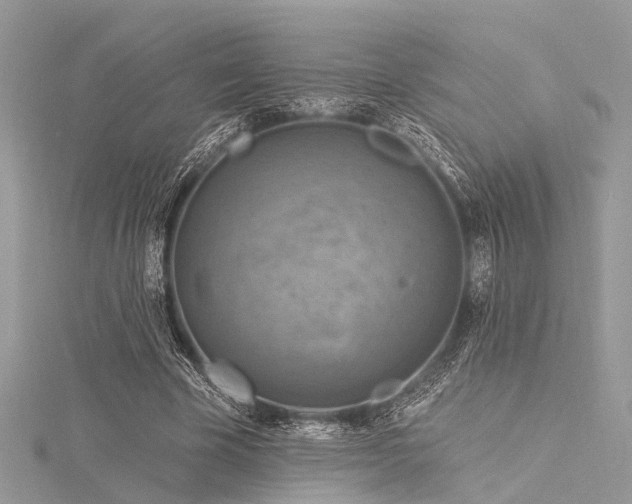 X0000116300585200911301443