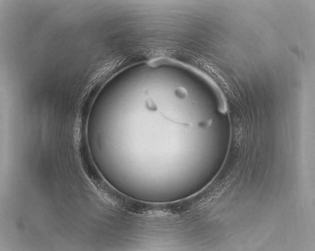 X0000116300586200911301443