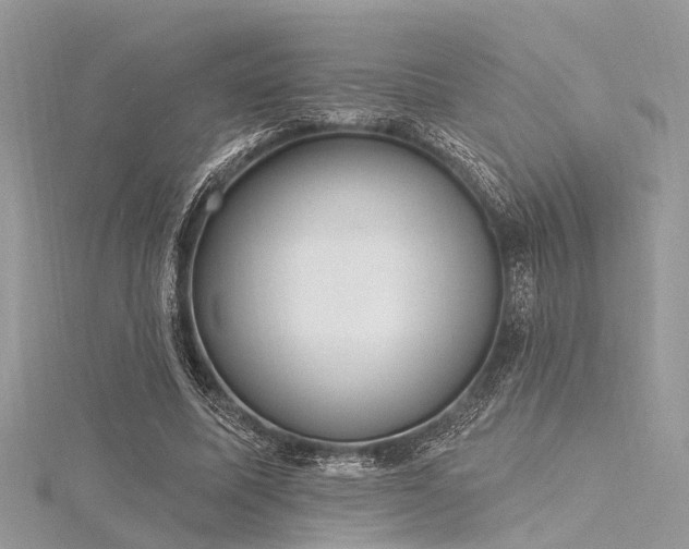 X0000116300587200911301443