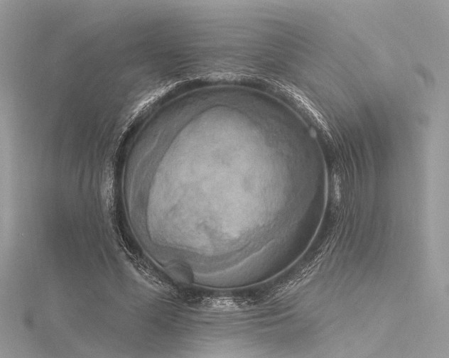 X0000116300588200911301443