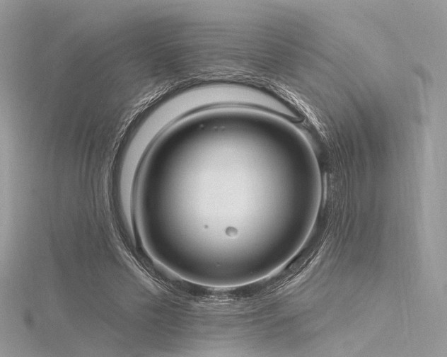 X0000116300589200911301443