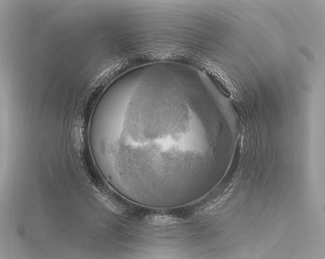 X0000116300590200911301443