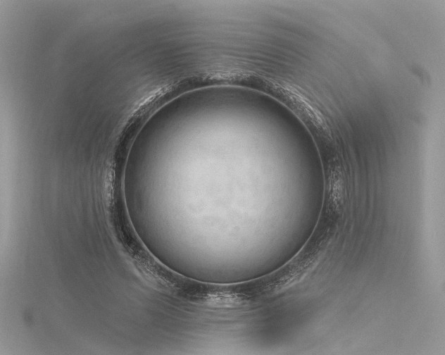 X0000116300591200911301443