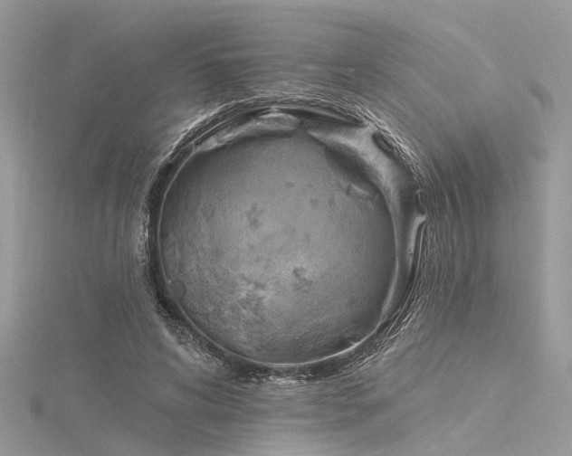 X0000116300592200911301443