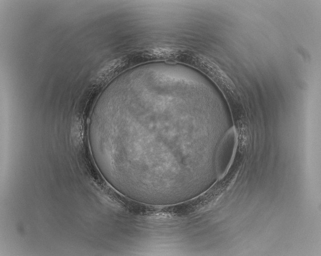 X0000116300593200911301443