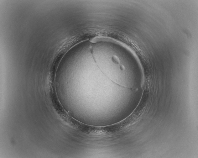 X0000116300594200911301443