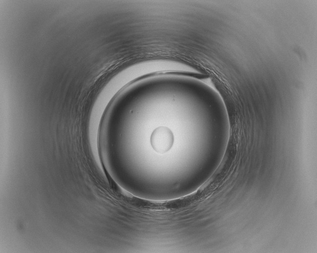 X0000116300595200911301443