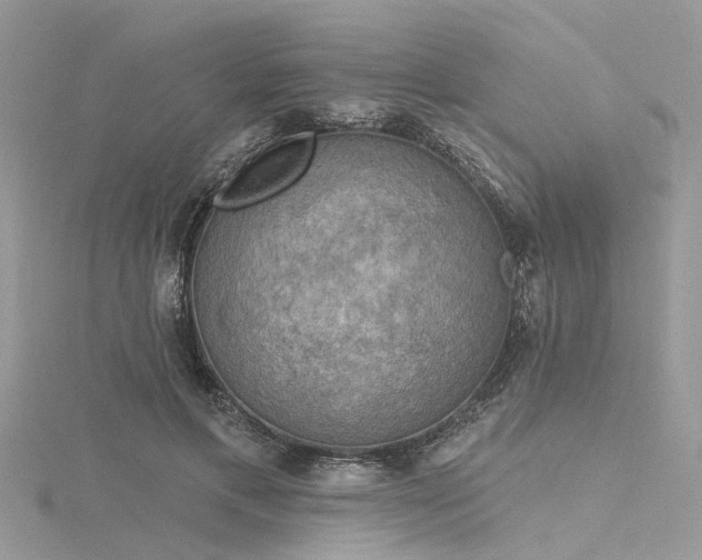 X0000116300597200911301443