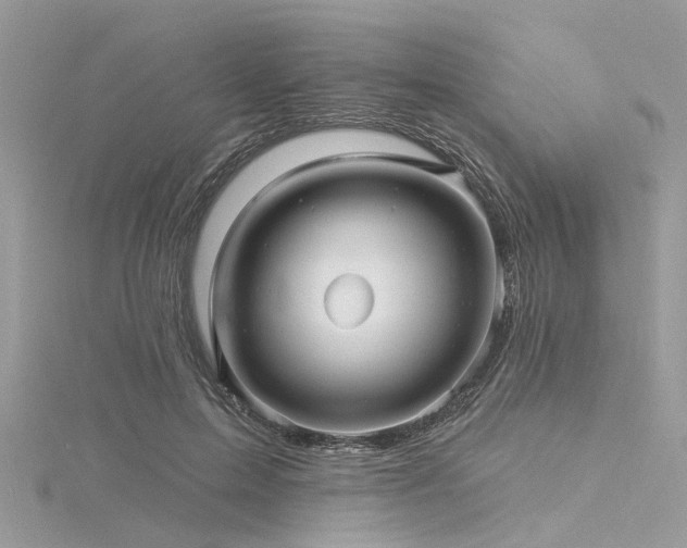 X0000116300599200911301443