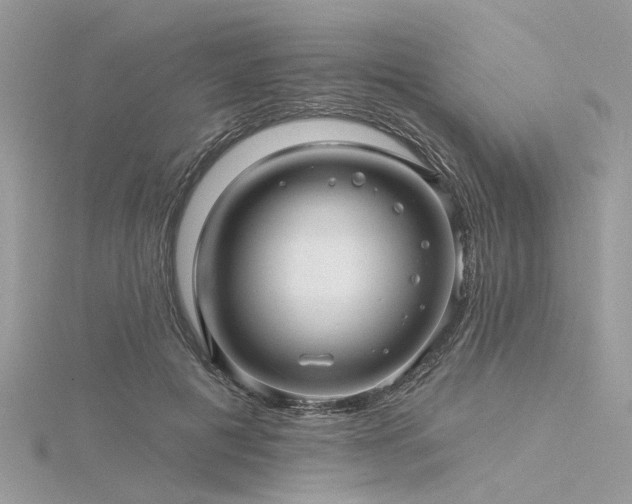 X0000116300601200911301443