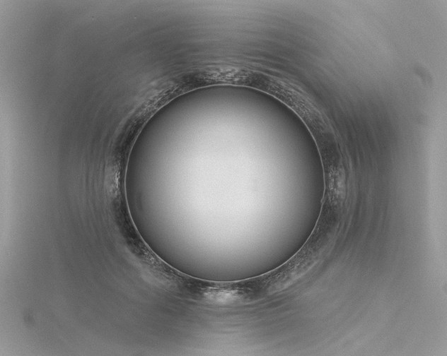 X0000116300602200911301443