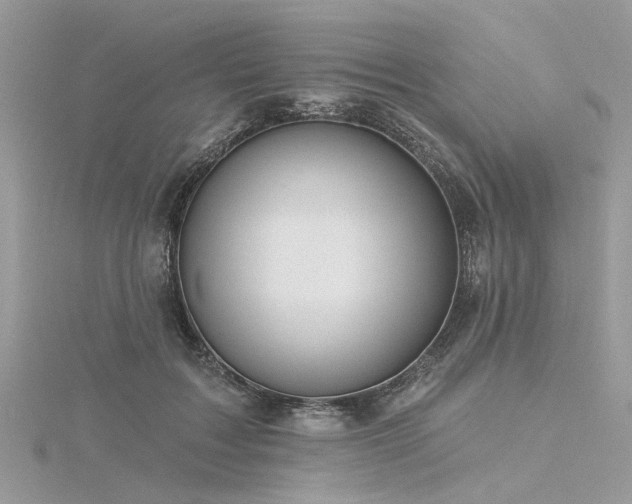 X0000116300603200911301443