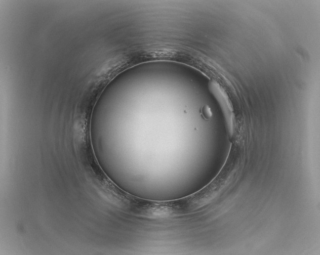 X0000116300604200911301443