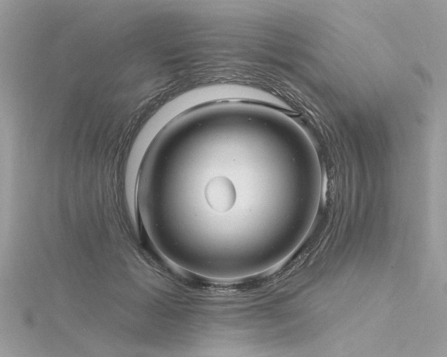 X0000116300605200911301443