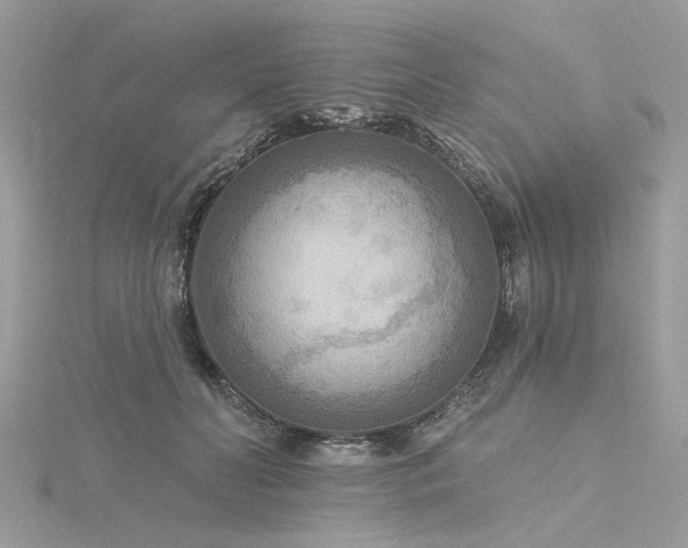 X0000116300606200911301443