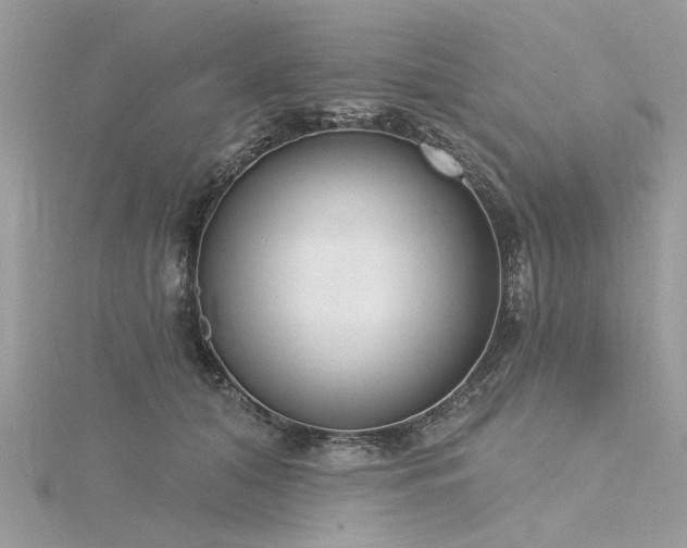 X0000116300608200911301443