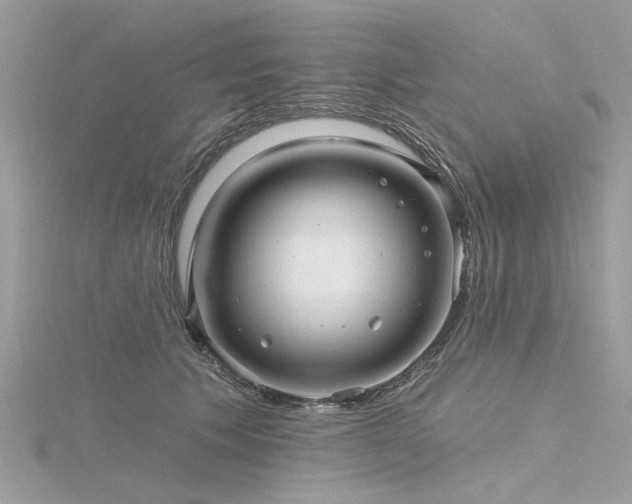 X0000116300609200911301443