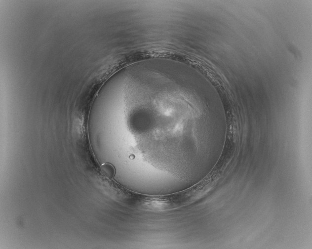 X0000116300610200911301443