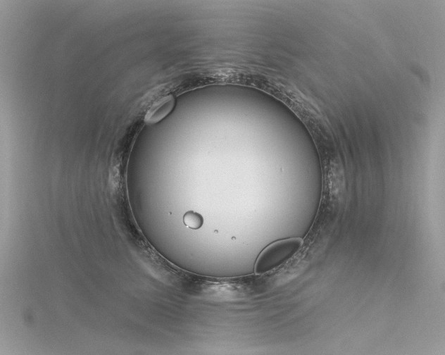 X0000116300611200911301443