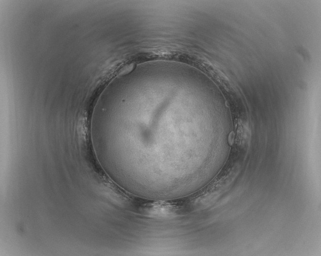 X0000116300612200911301443