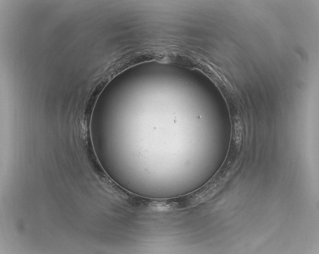 X0000116300613200911301443