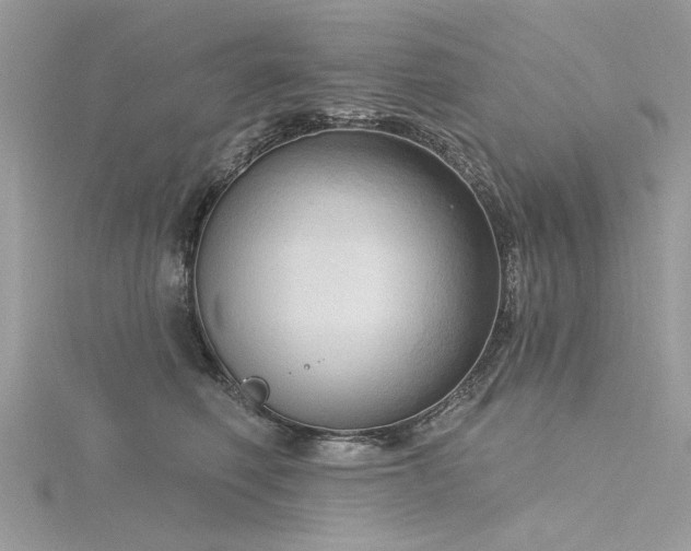 X0000116300614200911301443