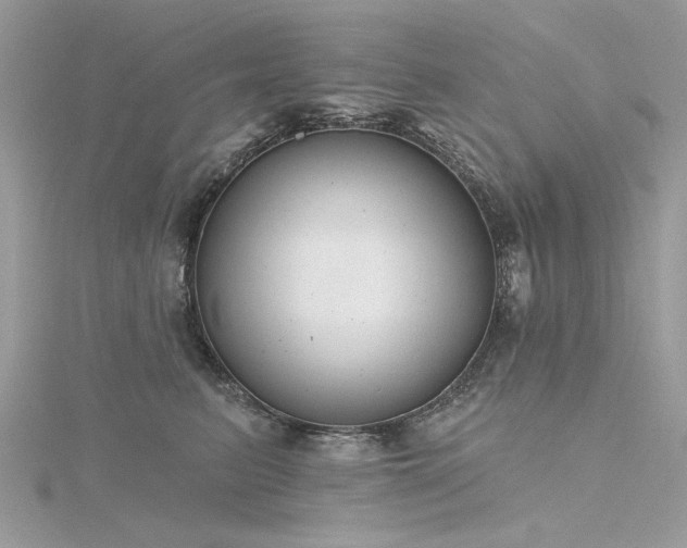 X0000116300615200911301443